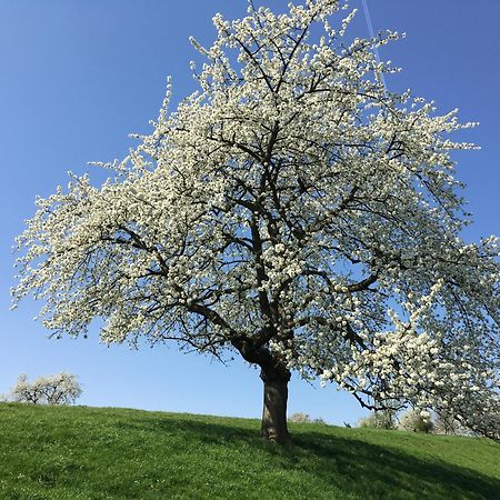 De Notelaar Kortessem Buitenkant foto