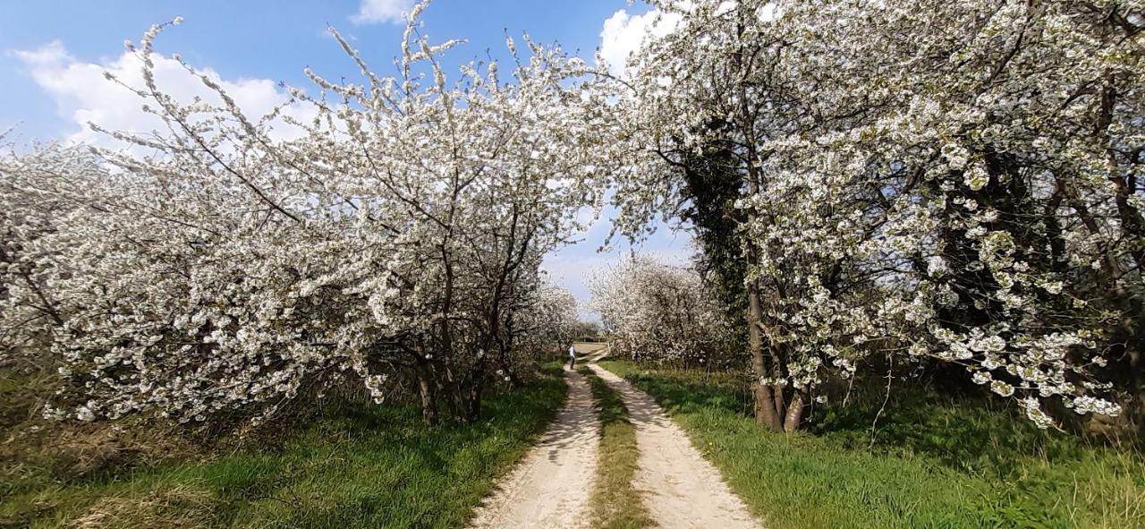 De Notelaar Kortessem Buitenkant foto