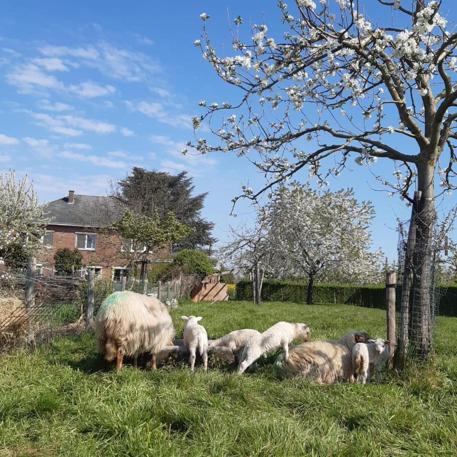 De Notelaar Kortessem Buitenkant foto