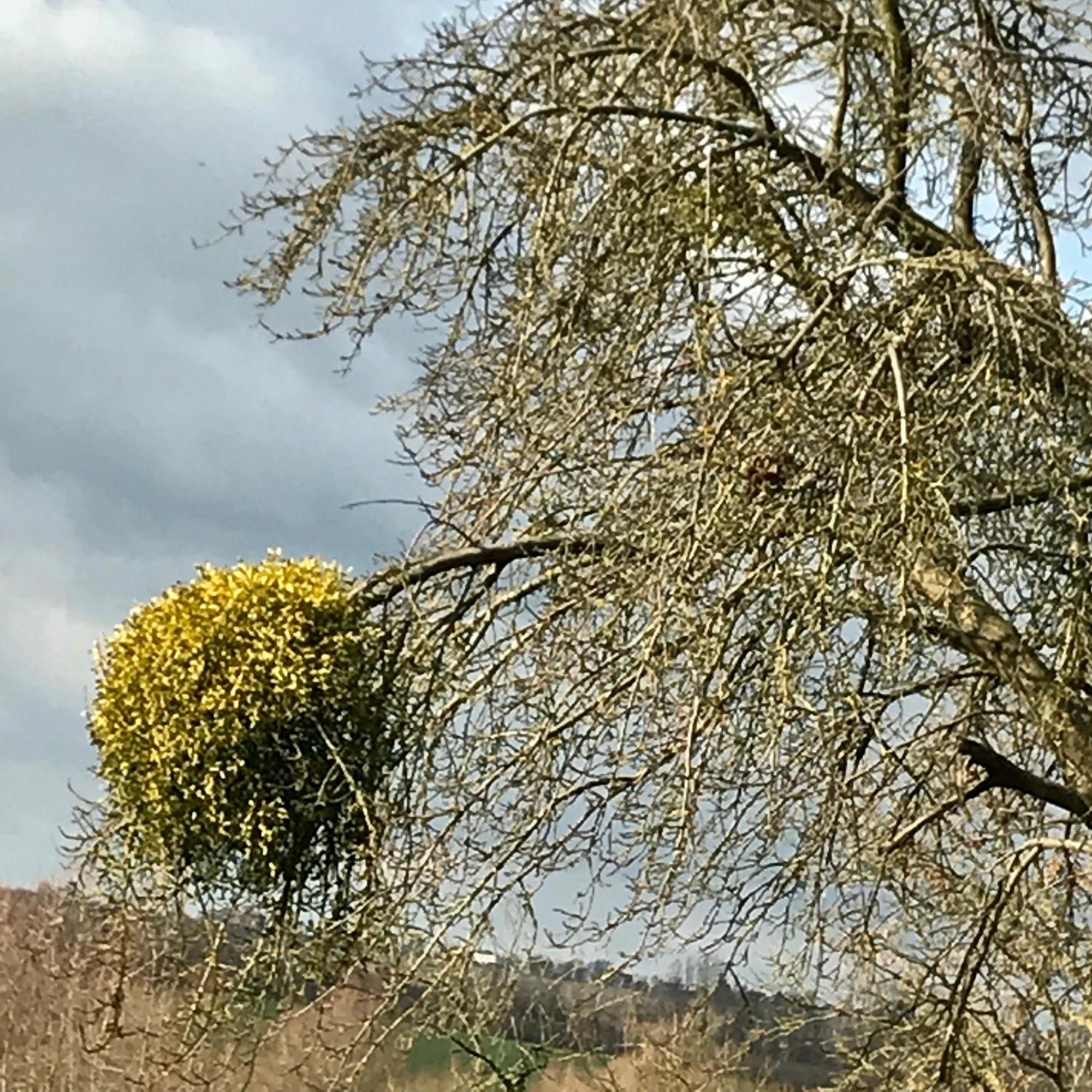 De Notelaar Kortessem Buitenkant foto