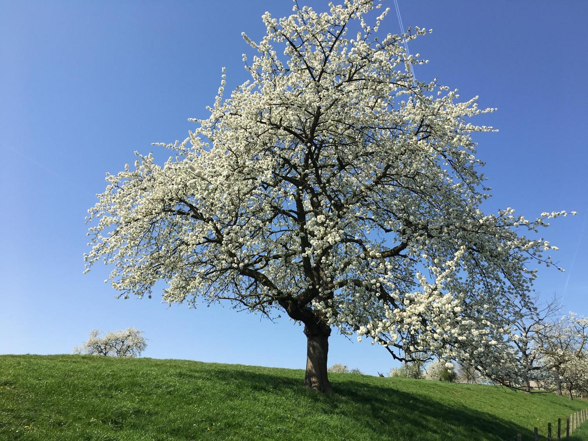 De Notelaar Kortessem Buitenkant foto