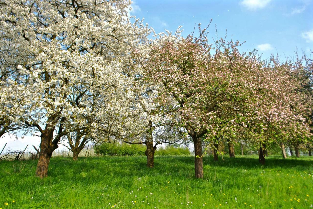 De Notelaar Kortessem Buitenkant foto