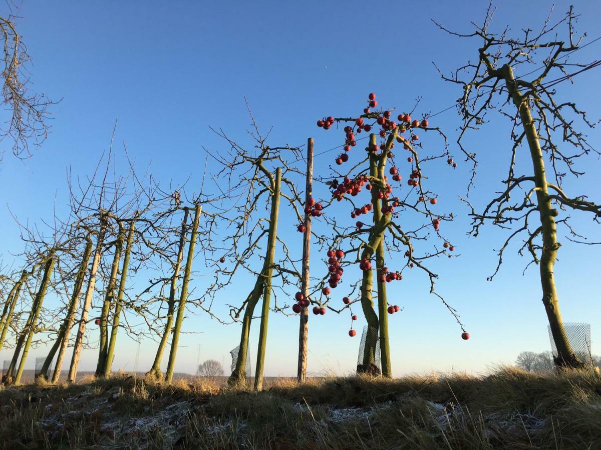 De Notelaar Kortessem Buitenkant foto