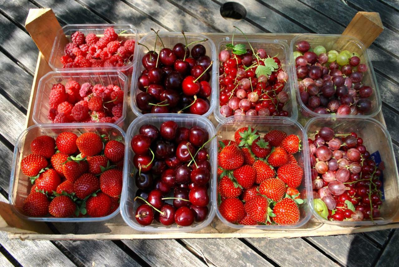 De Notelaar Kortessem Buitenkant foto
